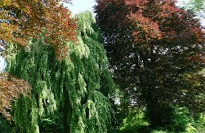 Palacio en venta Kostrzyna, Kostrzyna 38, Baja Silesia, Imagen 16/19