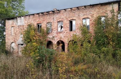 Palacio en venta Kostrzyna, Kostrzyna 38, Baja Silesia, Imagen 9/19