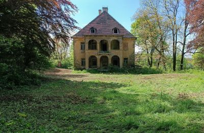 Palacio en venta Kostrzyna, Kostrzyna 38, Baja Silesia, Imagen 4/19