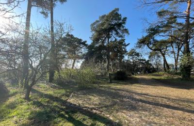 Casa de campo en venta 17375 Leopoldshagen, Mecklemburgo-Pomerania Occidental, Blick in die Einfahrt