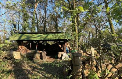 Casa de campo en venta 17375 Leopoldshagen, Mecklemburgo-Pomerania Occidental, Brennholzlager