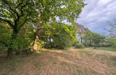 Casa de campo en venta 17375 Leopoldshagen, Mecklemburgo-Pomerania Occidental, Gartenblick