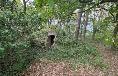 Casa de campo en venta 17375 Leopoldshagen, Mecklemburgo-Pomerania Occidental, Erdbunker