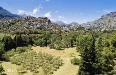 Casa señorial en venta Escorca, Islas Baleares, finca-escorca-40