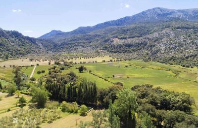 Casa señorial en venta Escorca, Islas Baleares, finca-escorca-39