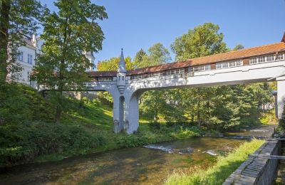 Mansión histórica en venta Baja Silesia, Imagen 3/10