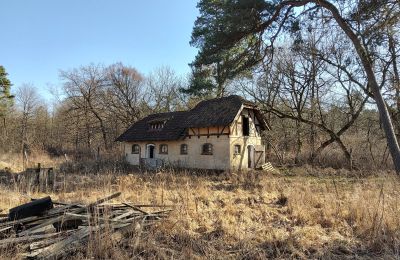 Mansión histórica en venta Słubice, Lubusz, Imagen 4/15