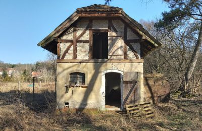 Mansión histórica en venta Słubice, Lubusz, Imagen 5/15