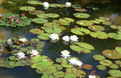 Casa de campo en venta Alemania, Imagen 12/32