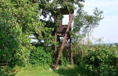 Casa de campo en venta Alemania, Imagen 15/32