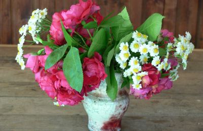 Casa de campo en venta Alemania, Imagen 28/32