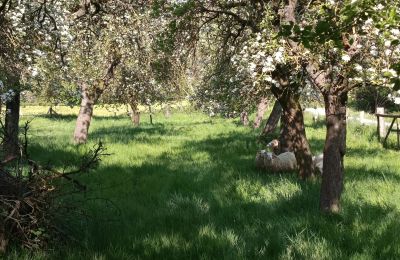 Casa de campo en venta Alemania, Imagen 29/32