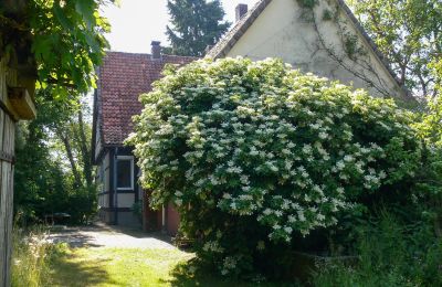 Casa de campo en venta Alemania, Imagen 5/32