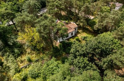 Mansión histórica en venta Konstancin-Jeziorna, Mazovia, Imagen 6/9