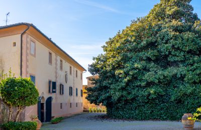 Mansión histórica en venta Crespina, Toscana, Imagen 33/38