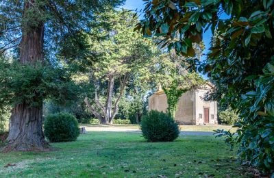 Mansión histórica en venta Crespina, Toscana, Imagen 3/38