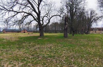Casa señorial en venta Raszków, Santa Cruz, Imagen 2/16