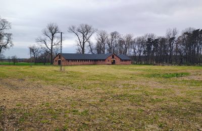 Casa señorial en venta Raszków, Santa Cruz, Imagen 5/16
