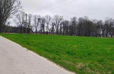 Casa señorial en venta Raszków, Santa Cruz, Imagen 14/16