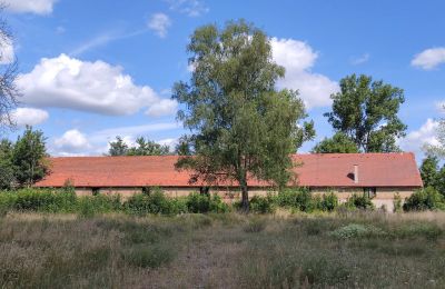 Casa señorial en venta Lubusz, Imagen 6/16