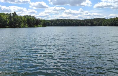 Casa señorial en venta Lubusz, Imagen 13/16