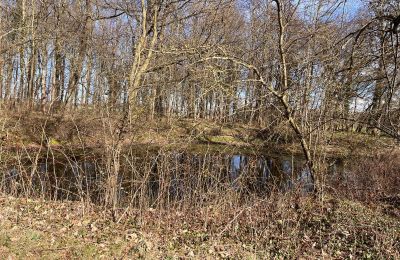 Palacio en venta Kępica, Kępica 20 A, Pomerania Occidental, Imagen 12/13