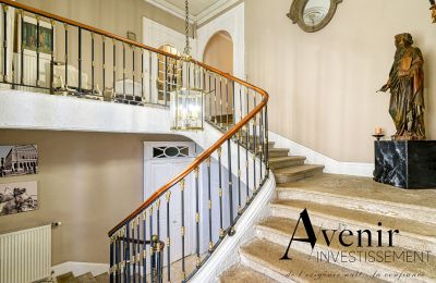 Mansión histórica en venta Vaugneray, Auvergne-Rhône-Alpes, Imagen 4/12
