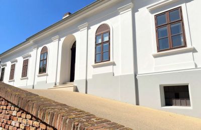 Casa señorial en venta Tömörd, Fő utca 11, Condado de Vas, Entrada