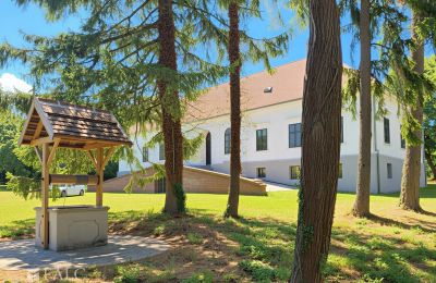 Casa señorial en venta Tömörd, Fő utca 11, Condado de Vas, Imagen 5/21