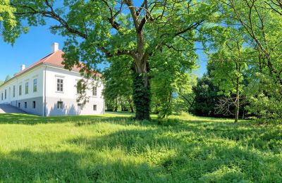 Casa señorial en venta Tömörd, Fő utca 11, Condado de Vas, Jardín del Palacio