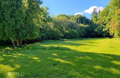 Casa señorial en venta Tömörd, Fő utca 11, Condado de Vas, Jardín del Palacio