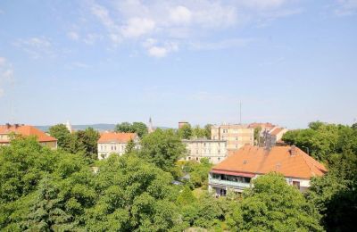 Palacio en venta Jawor, Armii Krajowej 7, Baja Silesia, Imagen 15/20