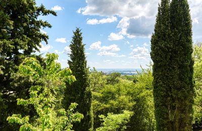 Casa señorial en venta Limonest, Auvergne-Rhône-Alpes, Imagen 6/10
