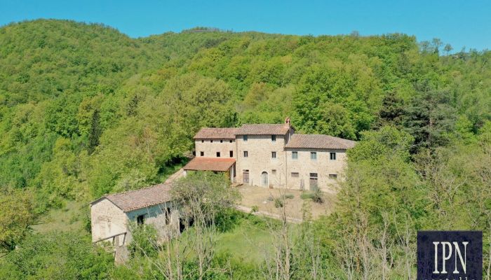  Molino Vitelli 1