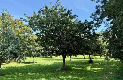 Casa señorial en venta Brandemburgo, Obstbaumgarten