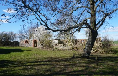 Casa señorial en venta Brandemburgo, Runine - ehem. Verwalterhaus