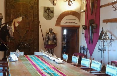 Castillo en venta Narros de Saldueña, Teniente Cecilio López 48, Castilla y León, Imagen 13/20