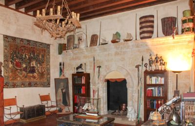 Castillo en venta Narros de Saldueña, Teniente Cecilio López 48, Castilla y León, Imagen 16/20