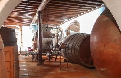 Castillo en venta Narros de Saldueña, Teniente Cecilio López 48, Castilla y León, Imagen 8/20