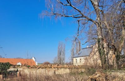Palacio en venta Ronov nad Doubravou, Moravany  1, okres Chrudim, Imagen 16/17