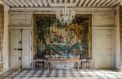 Palacio en venta Nueva Aquitania, Imagen 9/17