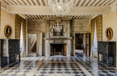 Palacio en venta Nueva Aquitania, Imagen 10/17