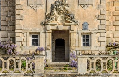 Palacio en venta Nueva Aquitania, Imagen 7/17