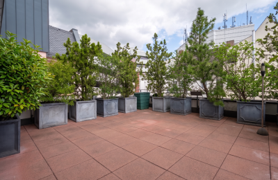 Casa palacio en venta Mainz, Klarastraße  4c, Renania-Palatinado, Imagen 18/22
