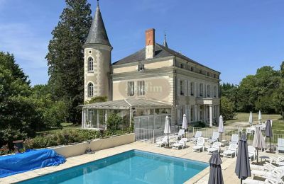 Palacio en venta La Roche-Posay, Nueva Aquitania, Imagen 5/41