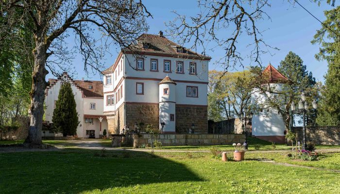 Palacio Baden-Wurtemberg