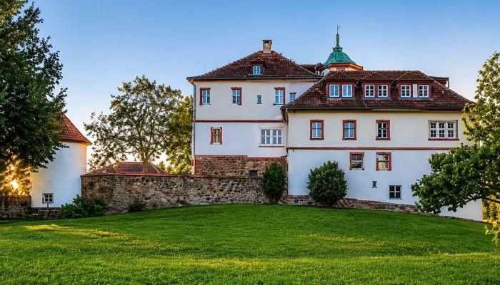 Palacio en venta Baden-Wurtemberg