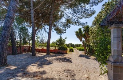 Casa de campo en venta Francavilla Fontana, Apulia, Imagen 8/30