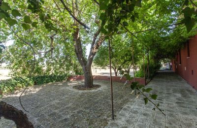 Casa de campo en venta Francavilla Fontana, Apulia, Imagen 20/30