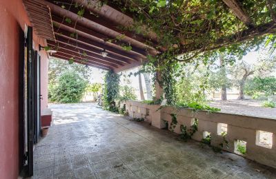Casa de campo en venta Francavilla Fontana, Apulia, Imagen 7/30